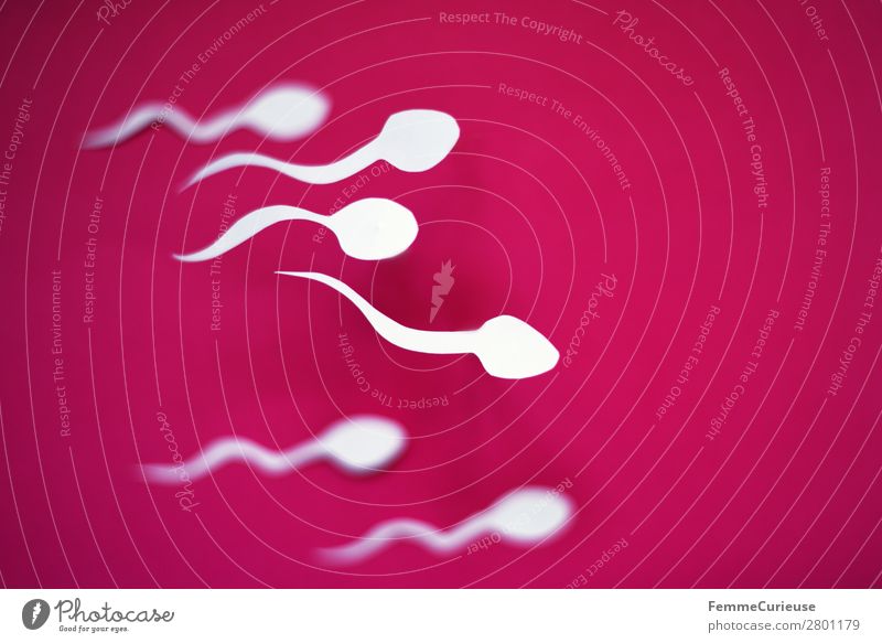 Reproduction - Swimming sperm Familie & Verwandtschaft Sex Sexualität Spermien Papier ausgeschnitten weiß rosa Fortpflanzung fruchtbar Bewegung Nachkommen
