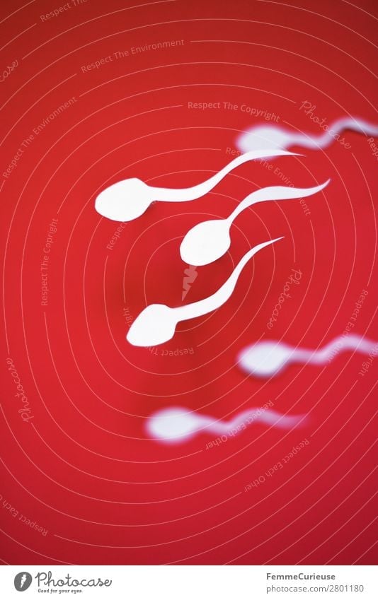 Swimming sperm on red background Zeichen Sex Sexualität Familienplanung Kinderwunsch Spermien fruchtbar rot weiß Papier ausgeschnitten Symbole & Metaphern
