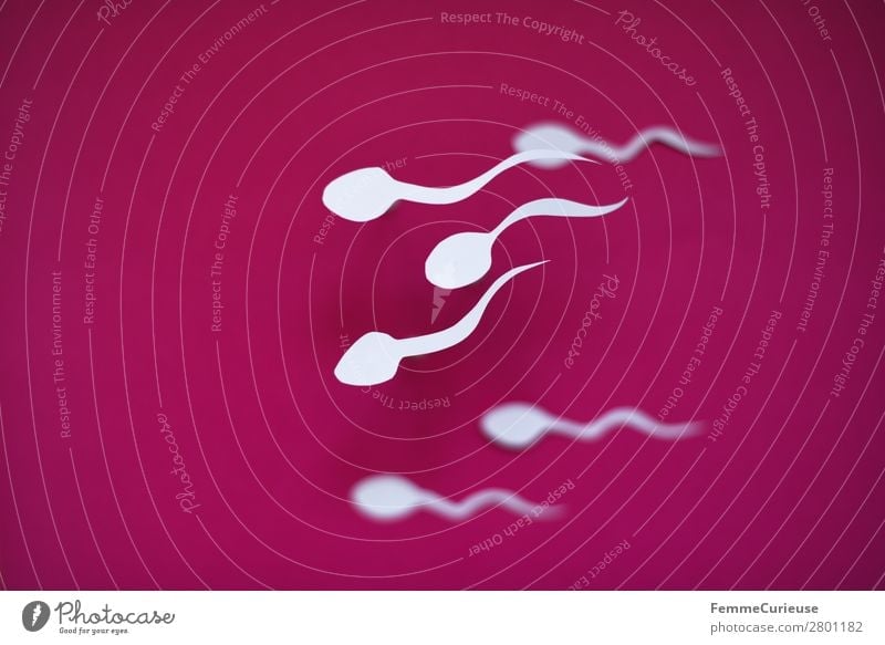 Symbol picture - a group of swimming sperm Zeichen Sex Sexualität Spermien weiß rosa Papier Symbole & Metaphern Grafik u. Illustration Grafische Darstellung