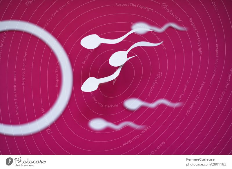 Reproduction - Sperm swimming to egg cell Zeichen Sex Sexualität Spermien Eizelle Grafik u. Illustration Grafische Darstellung rosa Papier ausgeschnitten