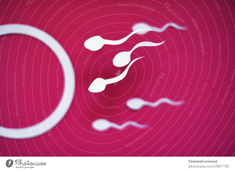 Reproduction - sperm swimming to egg cell Zeichen Sex Sexualität Spermien Eizelle Biologie Fortpflanzung fruchtbar Kinderwunsch Familienplanung