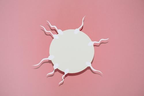 Reproduction - sperm swimming to egg cell Zeichen Sex Sexualität Eizelle Spermien Fertilisation Familienplanung Kinderwunsch Symbole & Metaphern