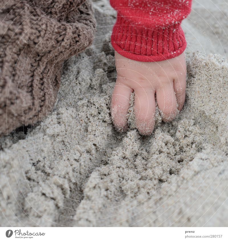 Kinderhand Mensch feminin Kleinkind Mädchen Hand Finger 1 braun grau rot Sand Strand matschen Farbfoto Außenaufnahme Nahaufnahme Textfreiraum unten Tag