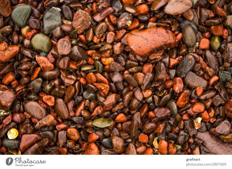 Nasse rote Kieselsteine an der Atlantikküste in Schottland hintergrund strand kiesstrand schön braun nahaufnahme farbig dekorativ design detail unterschied