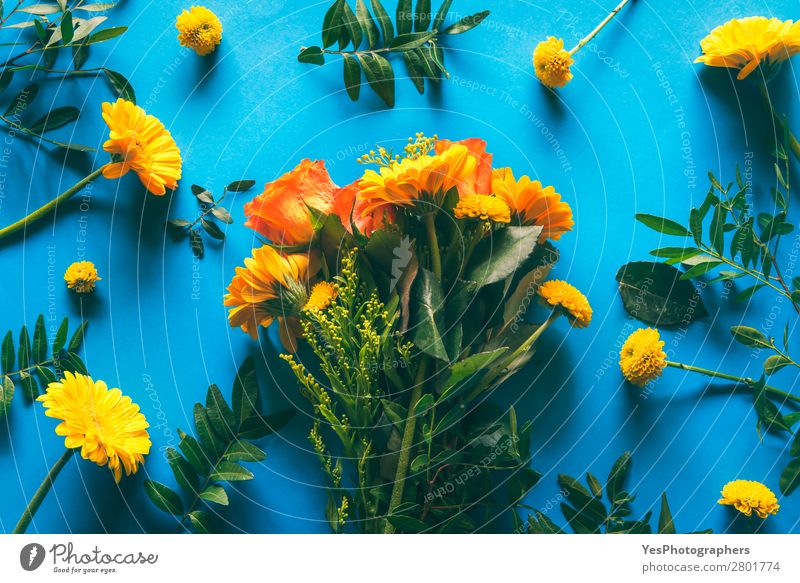 Blumenstrauß aus gelben Blumen auf blauem Hintergrund Sommer Dekoration & Verzierung Feste & Feiern Schönes Wetter Blüte Papier Ornament Liebe frisch
