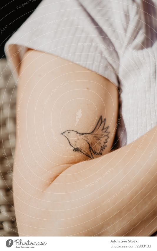 Vogeltattoo auf dem Arm Tattoo Arme Frau Kunst Körper Design Kreativität Haut klein Grundriss Stil Symbole & Metaphern Zeichen Dekor Ornament Zeitgenosse