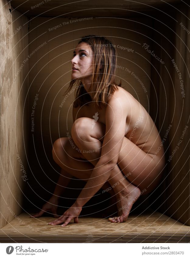 Nackte Frau im Karton nackt Kasten Entwurf aufreizend begrenzt minimalistisch geschlossen sportlich Ausdruck eingeschränkt Körper Bildunterschrift schön zart