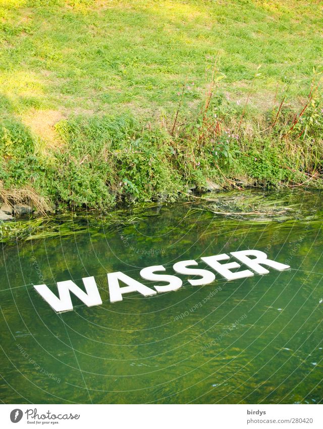 Wort Wasser als schwimmende Buchstaben auf einem Bach Trinkwasser Wassermangel Klimawandel Oberflächenwasser Lebenselexir Lateinische Schrift Ufer