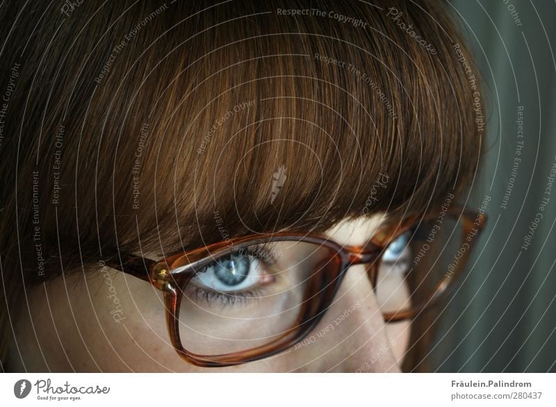 Durchblick¹ feminin Junge Frau Jugendliche Erwachsene Haare & Frisuren Auge 1 Mensch 18-30 Jahre Brille brünett rothaarig Pony beobachten Denken lernen