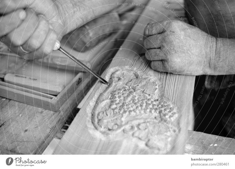 Der Schnitzer Freizeit & Hobby Handwerker Mann Erwachsene Finger Künstler Holz Arbeit & Erwerbstätigkeit schnitzen Schnitzereien Kunsthandwerk Kunsthandwerker