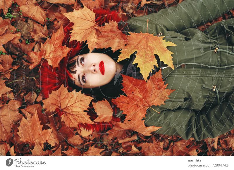 Junge Frau im Herbstboden liegend Lifestyle Stil Gesicht Wellness Erholung ruhig Freizeit & Hobby Mensch feminin Erwachsene Jugendliche 1 18-30 Jahre Natur