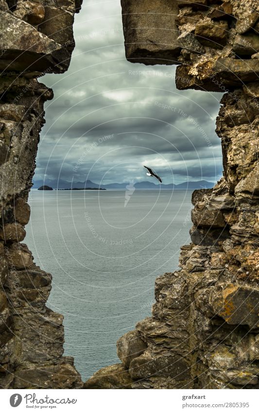 Steinfenster im Duntulm Castle auf der Isle of Skye Atlantik Aussicht Fensterblick duntulm castle Durchblick fliegen fliegend Vogelflug Vergangenheit