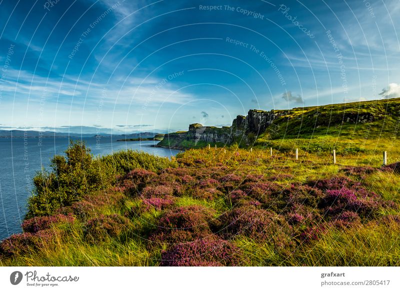 Küste bei Kilt Rock auf der Isle of Skye in Schottland Schlucht Am Rand Atlantik Aussicht Erholung friedlich Großbritannien grün Heidekrautgewächse Highlands