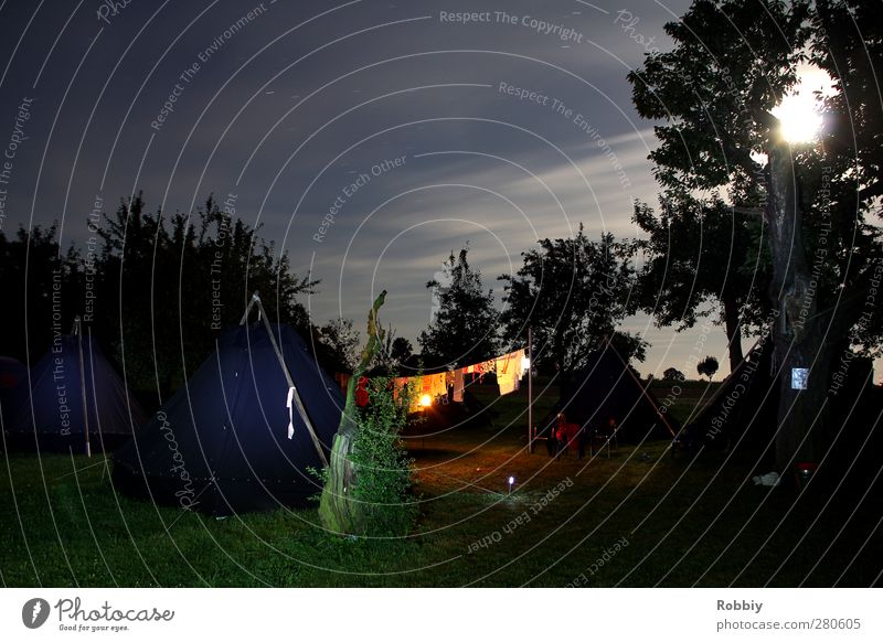 Nachtruhe Abenteuer Camping Nachthimmel Stern Mond schlafen blau grün Natur Zeltlager Campingplatz ruhig Außenaufnahme Wald Ausflug Lichteinfall Nachtlicht