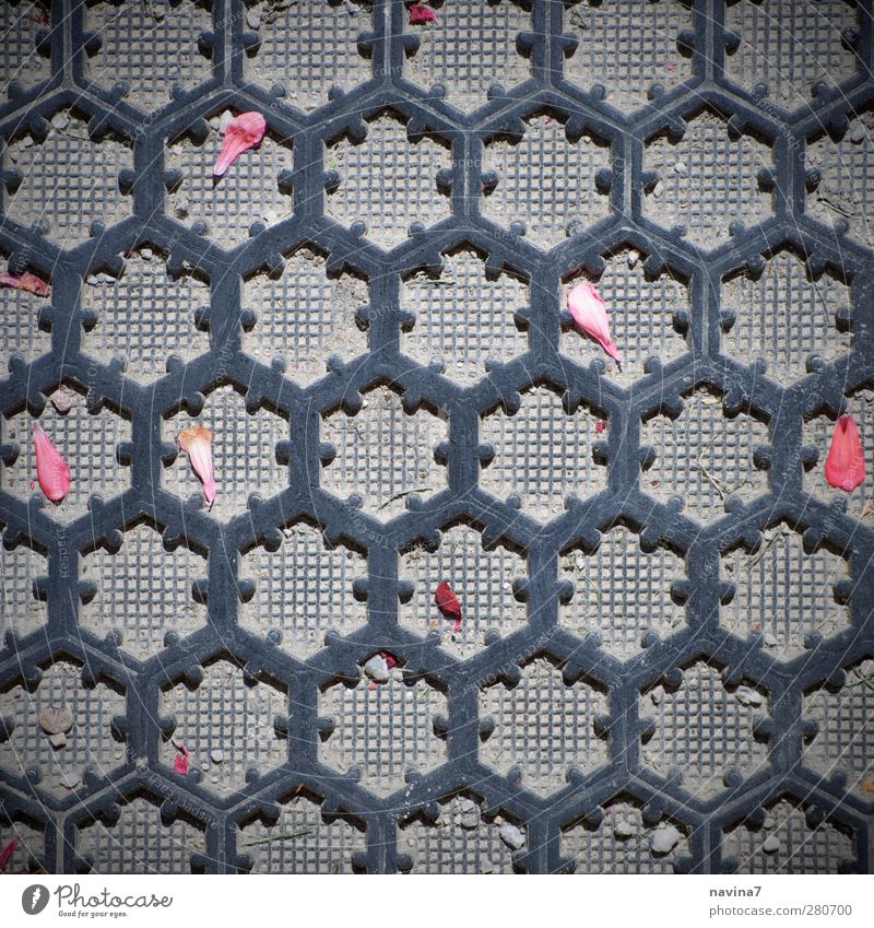 Abtreter Blatt Fußmatte Kunststoff rot schwarz Pelargonie Farbfoto Außenaufnahme Muster Menschenleer Textfreiraum Mitte Vogelperspektive