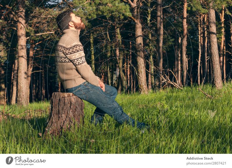 Junger Mann im Wald genießt einen sonnigen Nachmittag. Gras Park Kiefern Frühling Lifestyle Tag Natur grün Mensch Hintergrundbild Sonne Gelassenheit Freiheit
