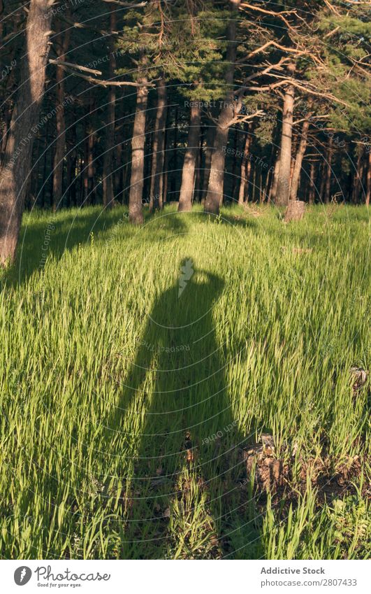 Schattenmann auf Gras Mann lang Mensch grün Entwurf Silhouette Natur Hintergrundbild Licht gießen hell Bild Landschaft Außenaufnahme Umwelt Feld Höhe Wiese