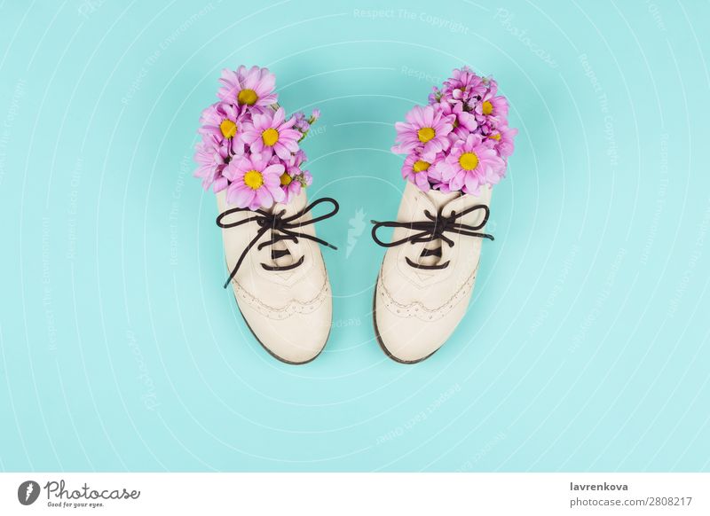 Brogue-Schuhe gefüllt mit rosa Margeriten und Wildblumen. Stil Pastellton Blüte Blume Kunst Chrysantheme Wohnung Leder unecht Jahreszeiten Natur Farbe Frühling