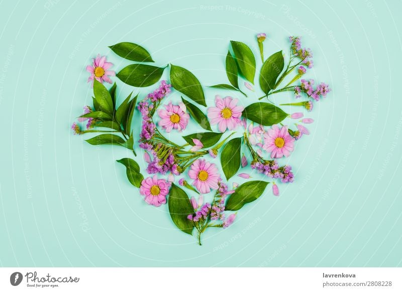 Herz aus Blättern, violetten und rosa Blüten Liebe Romantik Wiesenblume Chrysantheme Strukturen & Formen grün Blumenstrauß Beautyfotografie Pflanze