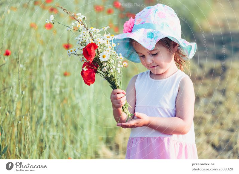 Schönes kleines Mädchen auf dem Feld der Wildblumen. Lifestyle Freude Glück schön Sommer Garten Kind Mensch Frau Erwachsene Eltern Mutter