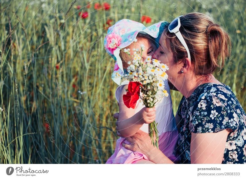 Mutter und ihre kleine Tochter auf dem Feld der Wildblumen Lifestyle Freude Glück schön Sommer Garten Kind Mensch Frau Erwachsene Eltern