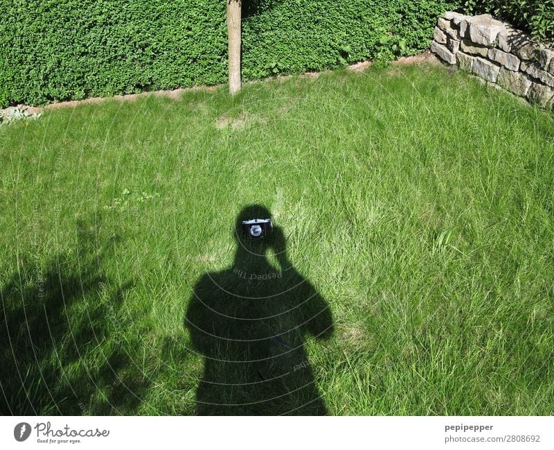 Schattengewächs Freizeit & Hobby Häusliches Leben Mensch maskulin Mann Erwachsene Körper 1 Gras Garten Wiese Haus Fotokamera grün Schattenspiel Farbfoto