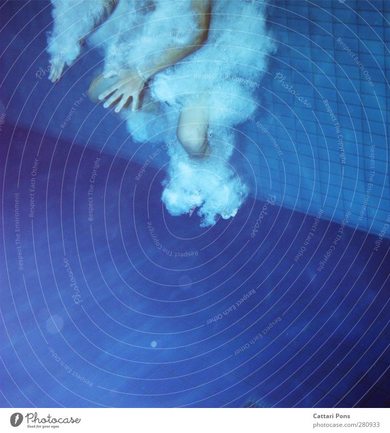 jump into water Schwimmen & Baden tauchen springen Wassersport Schwimmbad maskulin 1 Mensch Bewegung machen Flüssigkeit kalt nass dünn blau Hand