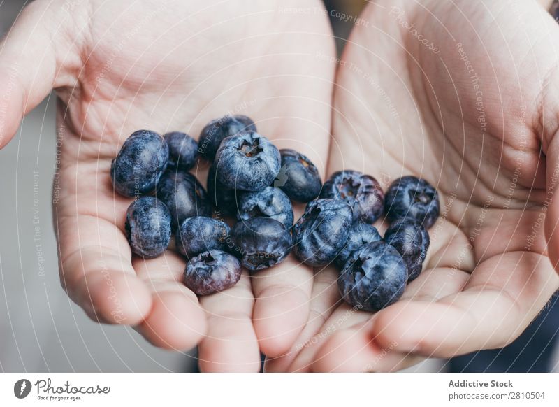 Eine Handvoll reifer Heidelbeeren. Blaubeeren Beeren Frucht Lebensmittel süß saftig frisch Zerreißen Gesundheit geschmackvoll organisch Diät Dessert Natur blau
