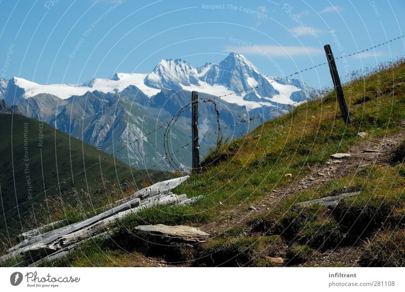 in den Alpen Berge u. Gebirge wandern Klettern Bergsteigen Landschaft Sommer Schönes Wetter Gipfel Schneebedeckte Gipfel ruhig Einsamkeit Freiheit Klima Natur