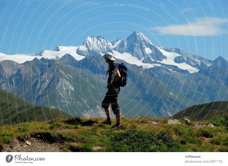 in den Alpen 2 Ferien & Urlaub & Reisen Sommer wandern Mann Erwachsene 1 Mensch 30-45 Jahre Landschaft Schönes Wetter Berge u. Gebirge Gipfel