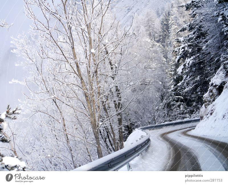 Weiße Kurven Ferien & Urlaub & Reisen Tourismus Ausflug Winter Schnee Winterurlaub Berge u. Gebirge Klettern Bergsteigen Umwelt Natur Landschaft Wetter Eis
