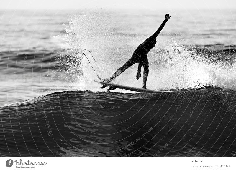 Golden Ride Lifestyle Sommer Meer Wellen Sport Wassersport Sportler Surfbrett Mensch Mann Erwachsene 1 Natur Urelemente Schönes Wetter Küste Bewegung nass