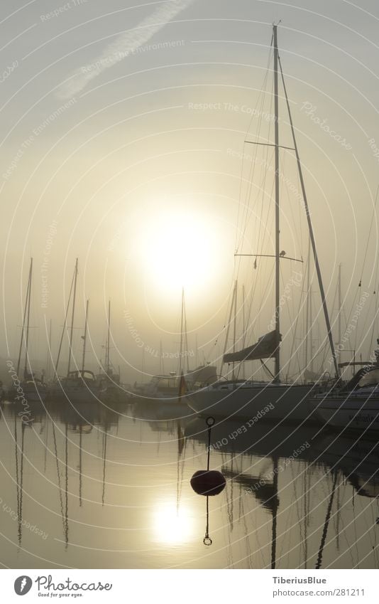 Morgen-Nebel im Hafen von Ystad Wasser Himmel Sonne Sonnenlicht Herbst Ostsee Jacht Jachthafen ästhetisch Romantik Sehnsucht Fernweh geheimnisvoll Natur träumen