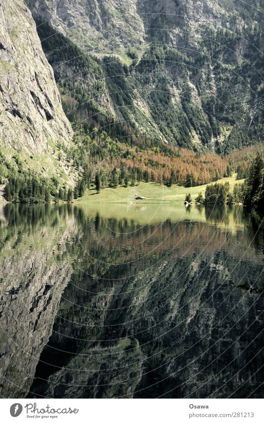Obersee Landschaft Natur See Wasser Reflexion & Spiegelung Berge u. Gebirge Alpen Berchtesgaden Berchtesgadener Alpen Nationalpark Bayern Salet Alm Königssee