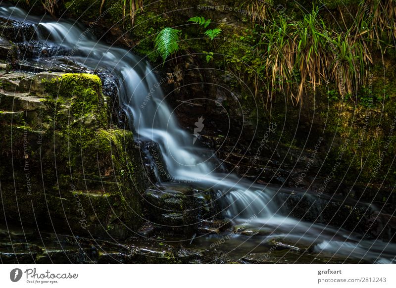 Bach mit Wasserfall in Wald nahe Ullapool in Schottland Bewegung Energie regenerativ fließen Fluss friedlich frisch Gesundheit Großbritannien Hintergrundbild