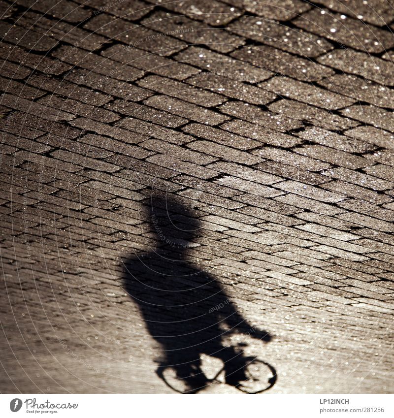Shadow Biker Leben Fahrradfahren Mensch maskulin Mann Erwachsene Körper 1 13-18 Jahre Kind Jugendliche 18-30 Jahre Verkehr Straßenverkehr Wege & Pfade Bewegung