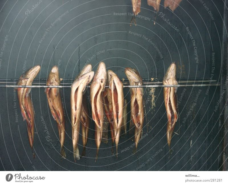 Räucherfisch Fisch Forelle Räucherforelle Ernährung Gastronomie Duft hängen lecker Appetit & Hunger aufgespiesst Räucherofen geräuchert aufgeschlitzt Räucherei