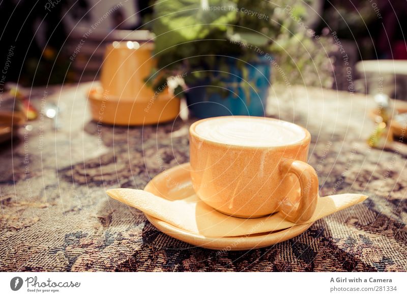 coffee in Tallin Lebensmittel Getränk Heißgetränk Kaffee Cappuccino Geschirr Tasse gelb Kaffeetrinken Erholung voll mehrfarbig Dekoration & Verzierung