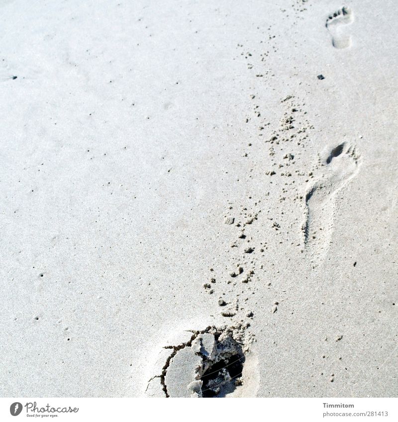 ...gehen... Ferien & Urlaub & Reisen Strand Sand Dänemark einfach grau schwarz Fußspur Farbfoto Gedeckte Farben Außenaufnahme Menschenleer Textfreiraum links