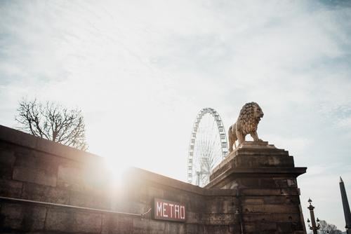Seitenansicht der Löwenskulptur Statue Architektur Skulptur Paris Franzosen Kunst Stein Frankreich Europa antik schön Skyline Lümmel Stadt lev Kultur Aussicht