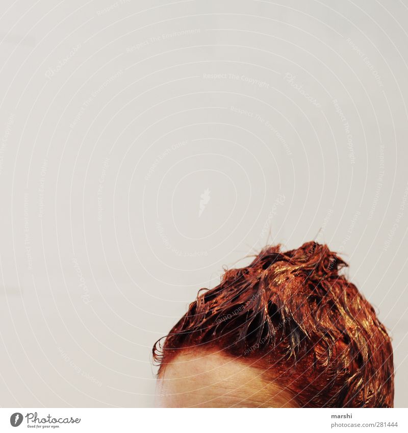 HaarTönungsTag Mensch Junge Frau Jugendliche Erwachsene Kopf Haare & Frisuren 1 rothaarig Freude tönung färben Haarfarbe Wellness Stirn Aussehen Farbfoto