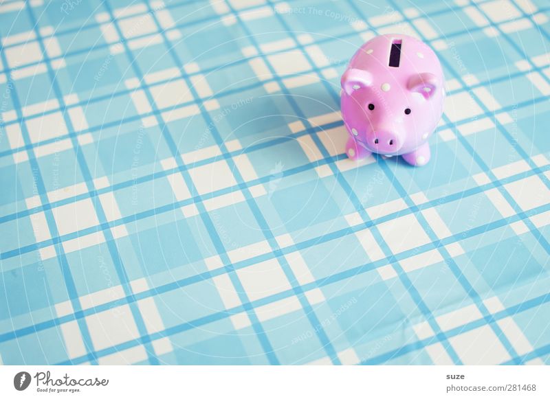 Kleine Sau Lifestyle kaufen Design Glück Geld sparen Dekoration & Verzierung Kunststoff Armut Kitsch klein lustig niedlich reich blau rosa geizig Krise Schwein