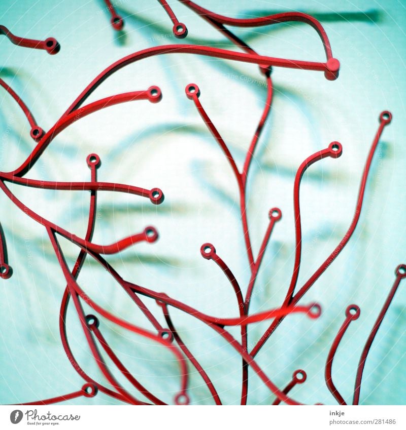 777 krumme Dinger Mauer Wand Dekoration & Verzierung Kitsch Krimskrams Ornament Linie Netzwerk dünn lang rot chaotisch Wachstum durcheinander Synapsen Geäst