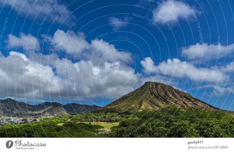 Landesinnere Oahu/Hawaii Ferien & Urlaub & Reisen Tourismus Ausflug Abenteuer Ferne Freiheit Expedition Sommer Insel Himmel Wolken Schönes Wetter Baum