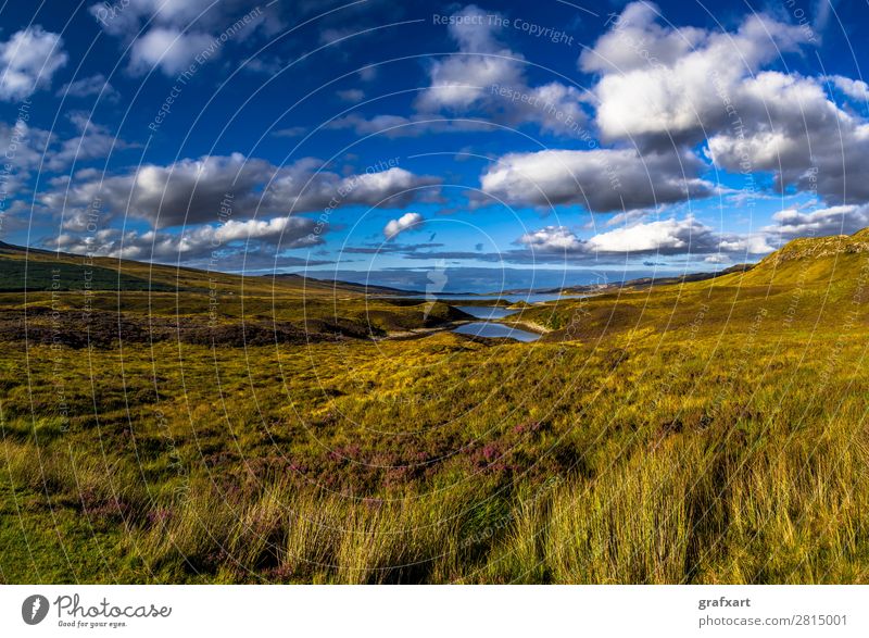Landschaft bei Loch Eriboll nahe Durness in Schottland Atlantik Blume durness Einsamkeit Großbritannien Heidekrautgewächse Highlands Himmel Hintergrundbild