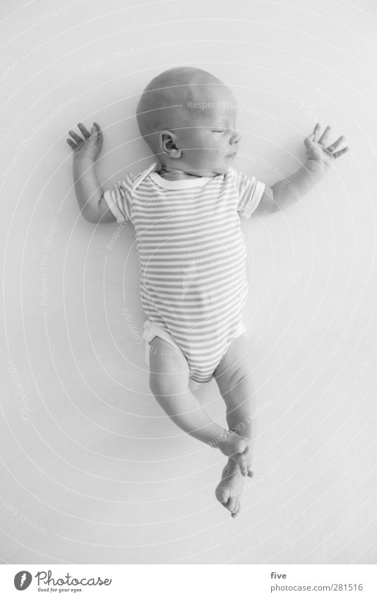 . Haut Gesicht Häusliches Leben Mensch Baby Kindheit Körper 1 0-12 Monate Bewegung schlafen Wachstum Gefühle Glück Fröhlichkeit Zufriedenheit Lebensfreude