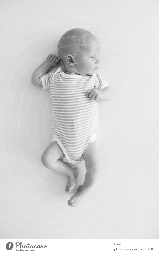 ... Haut Häusliches Leben Wohnung Raum Mensch maskulin Baby Kindheit Körper 1 0-12 Monate Bewegung schlafen schön Gefühle Freude Glück Fröhlichkeit