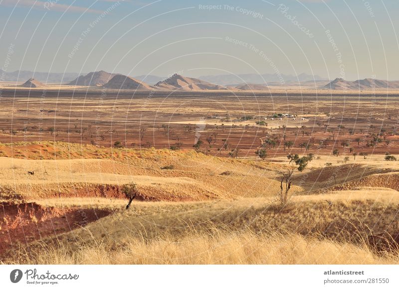 Namib Naukluft Park Namibia Natur Landschaft Sand Schönes Wetter Wärme Dürre Gras Hügel Berge u. Gebirge Wüste Afrika Abenteuer Einsamkeit einzigartig Erholung