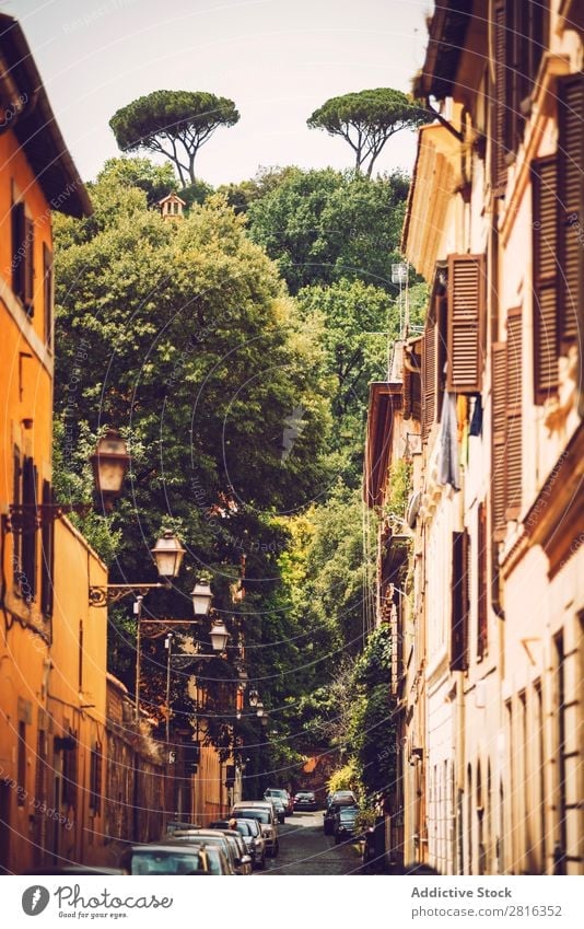 Schöne Straßenansicht von Rom, Italien Außenaufnahme Italienisch Ausflugsziel Stadt Farbe national Ferien & Urlaub & Reisen Aussicht Wahrzeichen Kultur