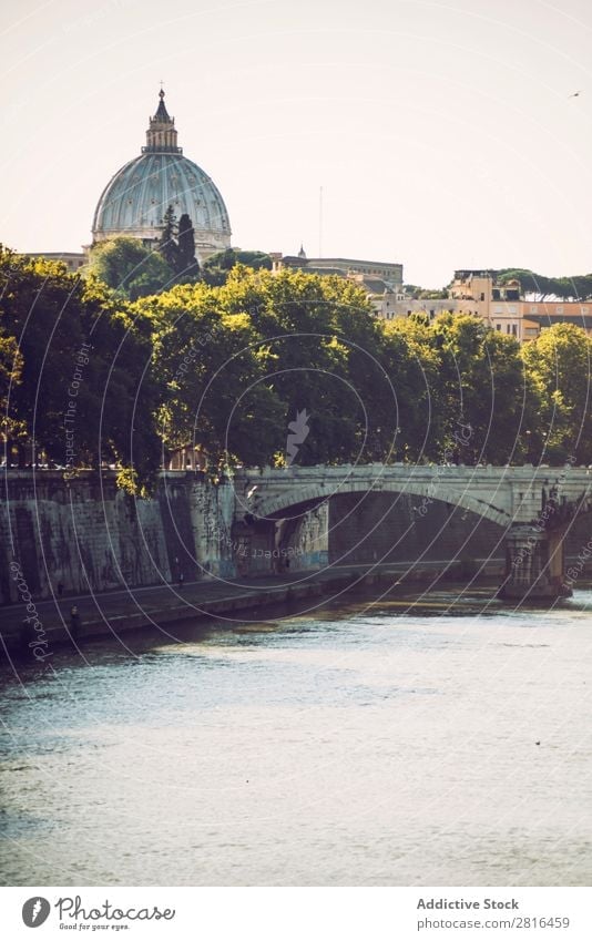 Der Tiber in Rom und die St. Peter Basilika, Italien Fluss Italienisch Aussicht historisch M alt Vatikan angelo Architektur peter Skyline Schloss Wahrzeichen